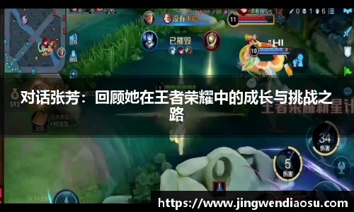 对话张芳：回顾她在王者荣耀中的成长与挑战之路